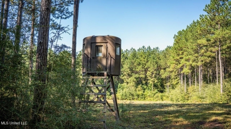 113 Acres Hunting Land with Home in Amite County, MS - image 41