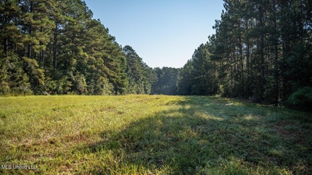 113 Acres Hunting Land with Home in Amite County, MS - image 33