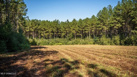 113 Acres Hunting Land with Home in Amite County, MS - image 39