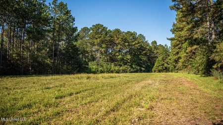 113 Acres Hunting Land with Home in Amite County, MS - image 35