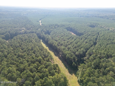 113 Acres Hunting Land with Home in Amite County, MS - image 12
