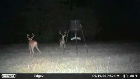 113 Acres Hunting Land with Home in Amite County, MS - image 23