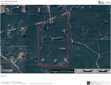 113 Acres Hunting Land with Home in Amite County, MS - image 49