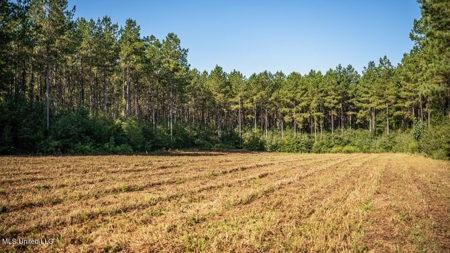 113 Acres Hunting Land with Home in Amite County, MS - image 40
