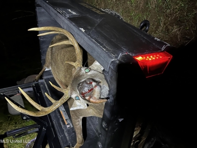 113 Acres Hunting Land with Home in Amite County, MS - image 19