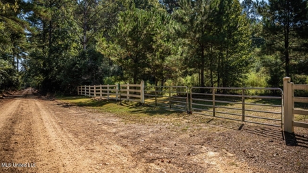 113 Acres Hunting Land with Home in Amite County, MS - image 47