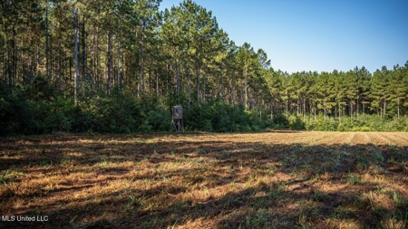 113 Acres Hunting Land with Home in Amite County, MS - image 38