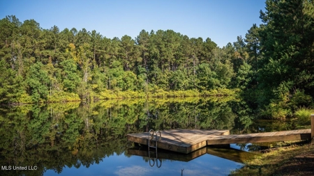 113 Acres Hunting Land with Home in Amite County, MS - image 43