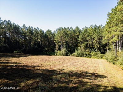 113 Acres Hunting Land with Home in Amite County, MS - image 14