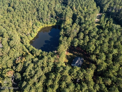 113 Acres Hunting Land with Home in Amite County, MS - image 11