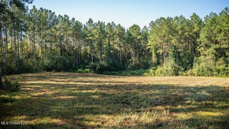 113 Acres Hunting Land with Home in Amite County, MS - image 42