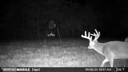 113 Acres Hunting Land with Home in Amite County, MS - image 18