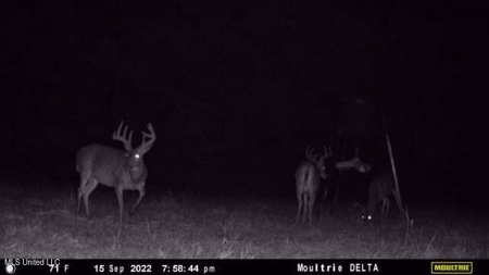 113 Acres Hunting Land with Home in Amite County, MS - image 17