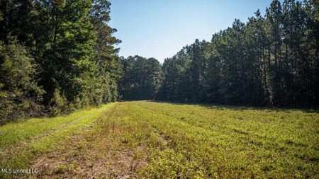 113 Acres Hunting Land with Home in Amite County, MS - image 34