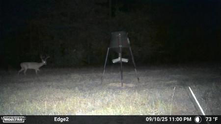 113 Acres Hunting Land with Home in Amite County, MS - image 22