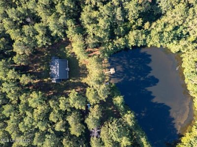 113 Acres Hunting Land with Home in Amite County, MS - image 2