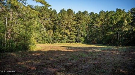 113 Acres Hunting Land with Home in Amite County, MS - image 37