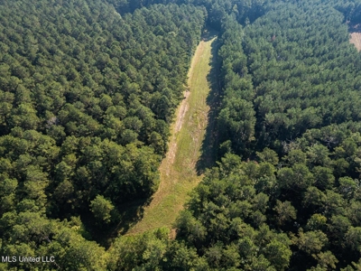 113 Acres Hunting Land with Home in Amite County, MS - image 4