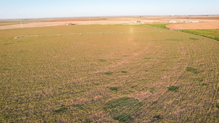 311.84+/- Acres in Lazbuddie, Texas - image 39