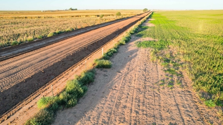 311.84+/- Acres in Lazbuddie, Texas - image 37