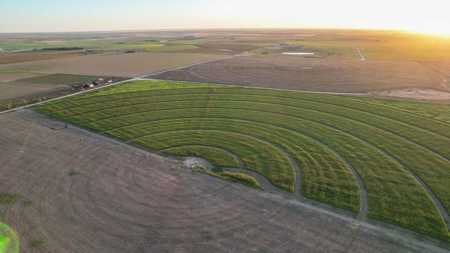 311.84+/- Acres in Lazbuddie, Texas - image 19
