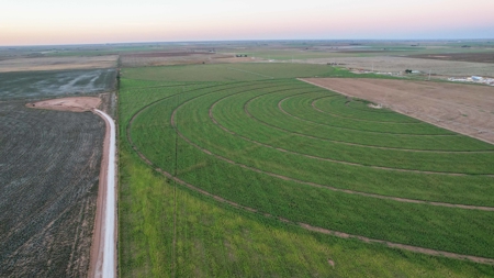 311.84+/- Acres in Lazbuddie, Texas - image 2