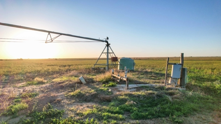 311.84+/- Acres in Lazbuddie, Texas - image 26