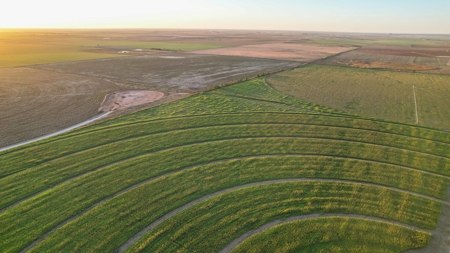311.84+/- Acres in Lazbuddie, Texas - image 22