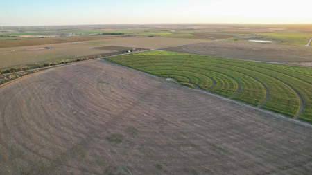 311.84+/- Acres in Lazbuddie, Texas - image 17