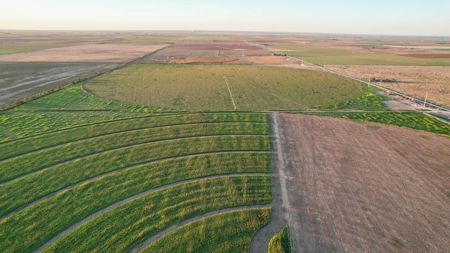 311.84+/- Acres in Lazbuddie, Texas - image 23