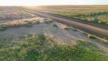 311.84+/- Acres in Lazbuddie, Texas - image 36