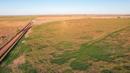 311.84+/- Acres in Lazbuddie, Texas - image 34