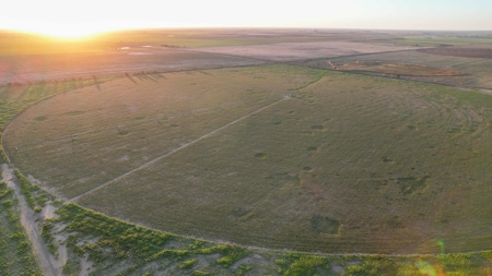 311.84+/- Acres in Lazbuddie, Texas - image 14