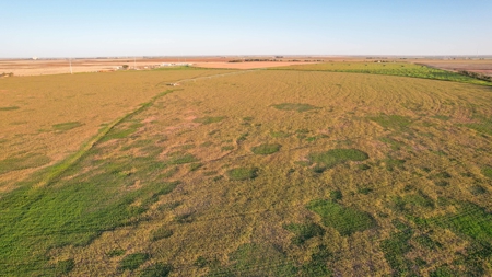 311.84+/- Acres in Lazbuddie, Texas - image 33