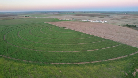311.84+/- Acres in Lazbuddie, Texas - image 1