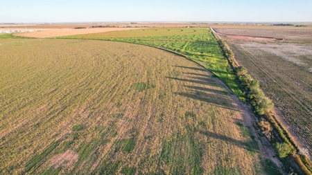 311.84+/- Acres in Lazbuddie, Texas - image 38