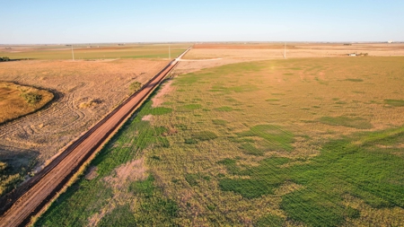 311.84+/- Acres in Lazbuddie, Texas - image 35