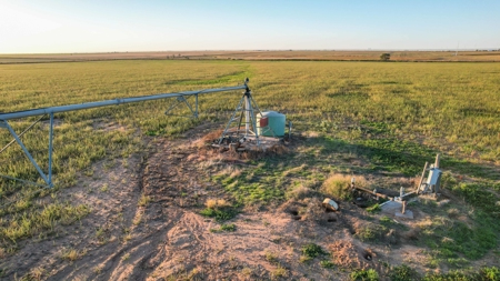 311.84+/- Acres in Lazbuddie, Texas - image 25