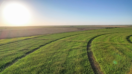 311.84+/- Acres in Lazbuddie, Texas - image 43