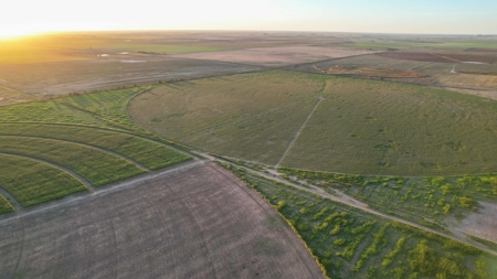 311.84+/- Acres in Lazbuddie, Texas - image 18