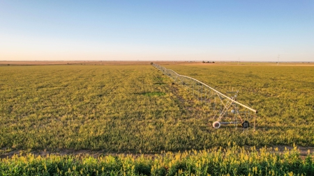 311.84+/- Acres in Lazbuddie, Texas - image 24