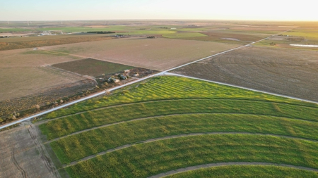 311.84+/- Acres in Lazbuddie, Texas - image 21