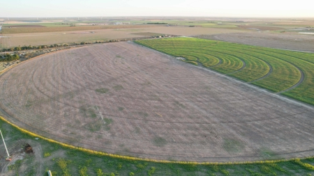 311.84+/- Acres in Lazbuddie, Texas - image 13