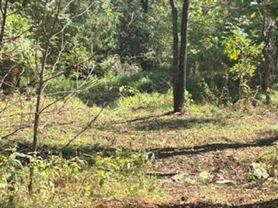 991 Wolfe Rd. Falmouth Ky. 41040 Hunting Recreational Land Mobile - image 7