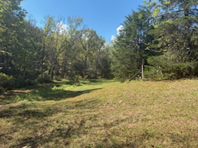 991 Wolfe Rd. Falmouth Ky. 41040 Hunting Recreational Land Mobile - image 10