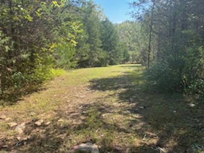 991 Wolfe Rd. Falmouth Ky. 41040 Hunting Recreational Land Mobile - image 8