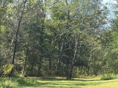 991 Wolfe Rd. Falmouth Ky. 41040 Hunting Recreational Land Mobile - image 11