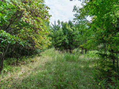 Wyandotte County Kansas Build Site - 18.91± Acres - image 26
