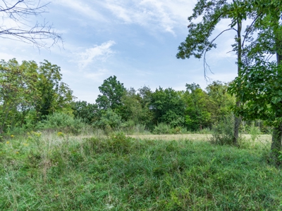 Wyandotte County Kansas Build Site - 18.91± Acres - image 34