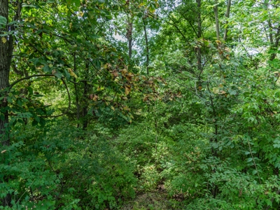 Wyandotte County Kansas Build Site - 18.91± Acres - image 18